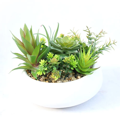 Artificial Assorted Succulent Plant Bonsai, 17 CM